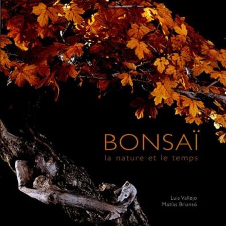 Bonsaï, la nature et le temps - Luis Vallejo - Matias Brianso - Editions Mengès -