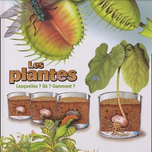 Les Plantes – Questions-Réponses 6/9 ans – Editions Nathan