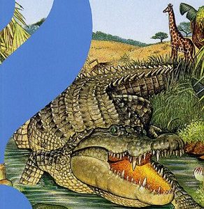 Qui a peur des crocodiles ? Découverte Benjamin – Gallimard Jeunesse –