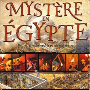 Mystère en Egypte – Une BD, Des infos pour élucider un…- Stewart Ross – Editions Nathan –