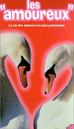 "Les amoureux" - La vie des animaux les plus passionnés - Collectif - Éditions le petit musc - D.L. Mars 2002 -
