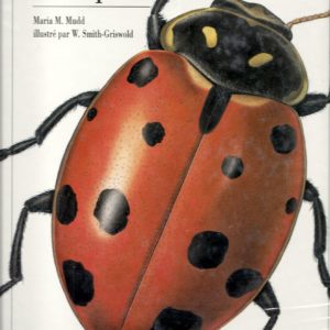 Les Coléoptères – Maria M. Mudd illustré par W. Smith-Griswold – Documentaire animé – Albin michel jeunesse 1992 –