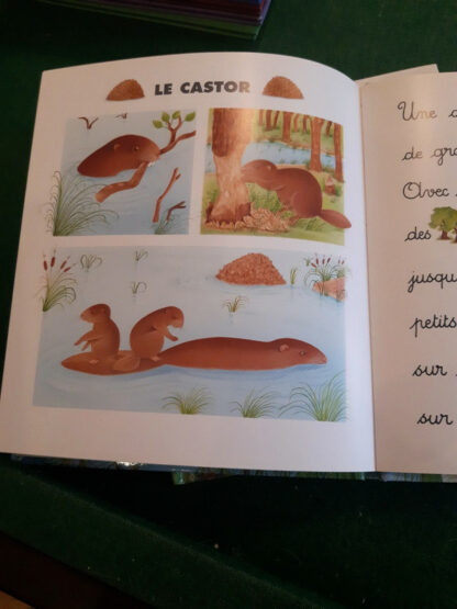 Lot de trois livres : Je lis avec les animaux... Éditions Lito - 2016 - – Image 3